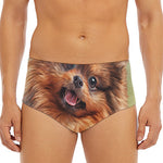 Vintage Pomeranian Portrait Men's Triangle Swim Briefs