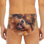 Vintage Pomeranian Portrait Men's Triangle Swim Briefs