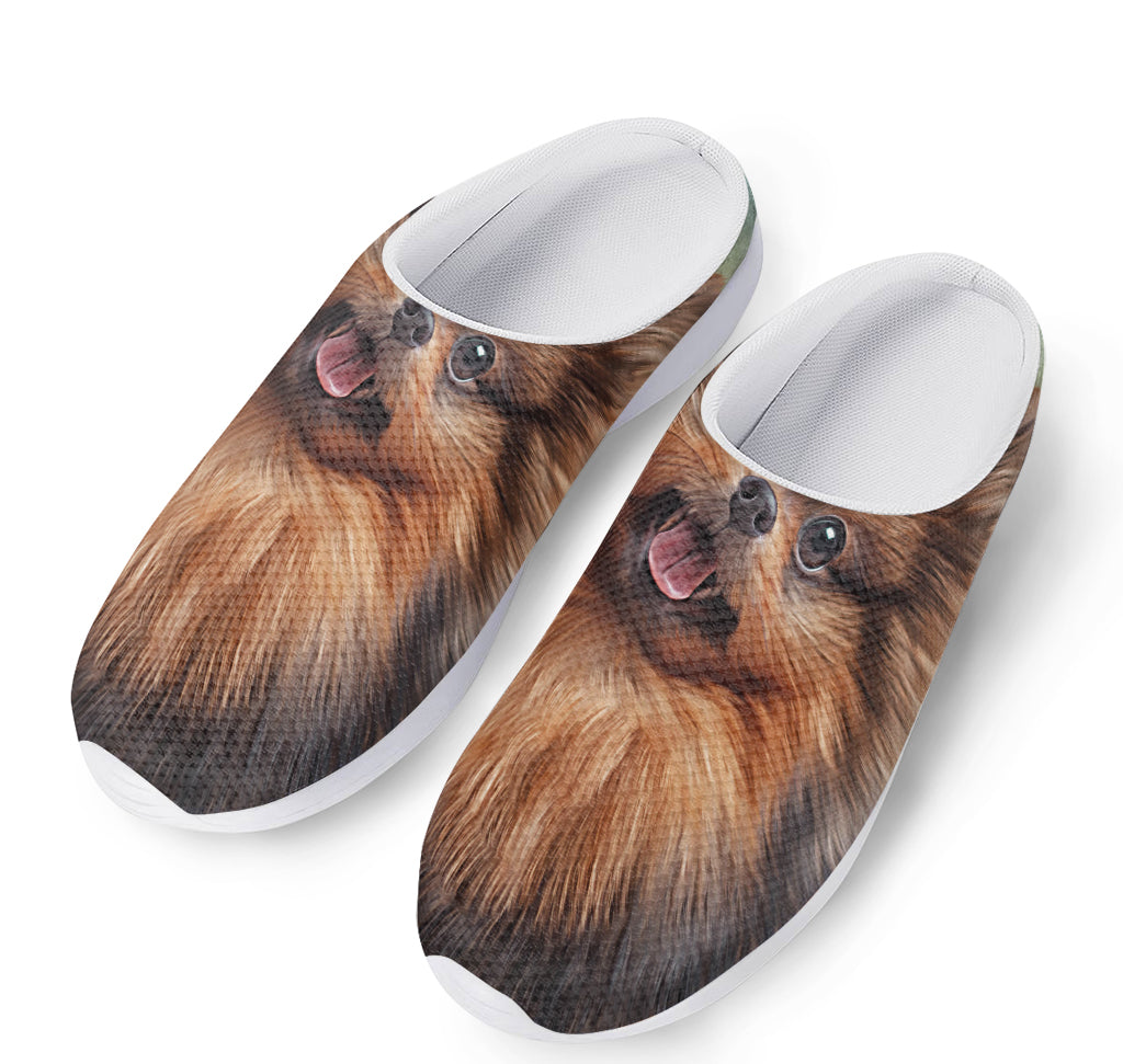Vintage Pomeranian Portrait Mesh Casual Shoes