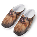 Vintage Pomeranian Portrait Mesh Casual Shoes