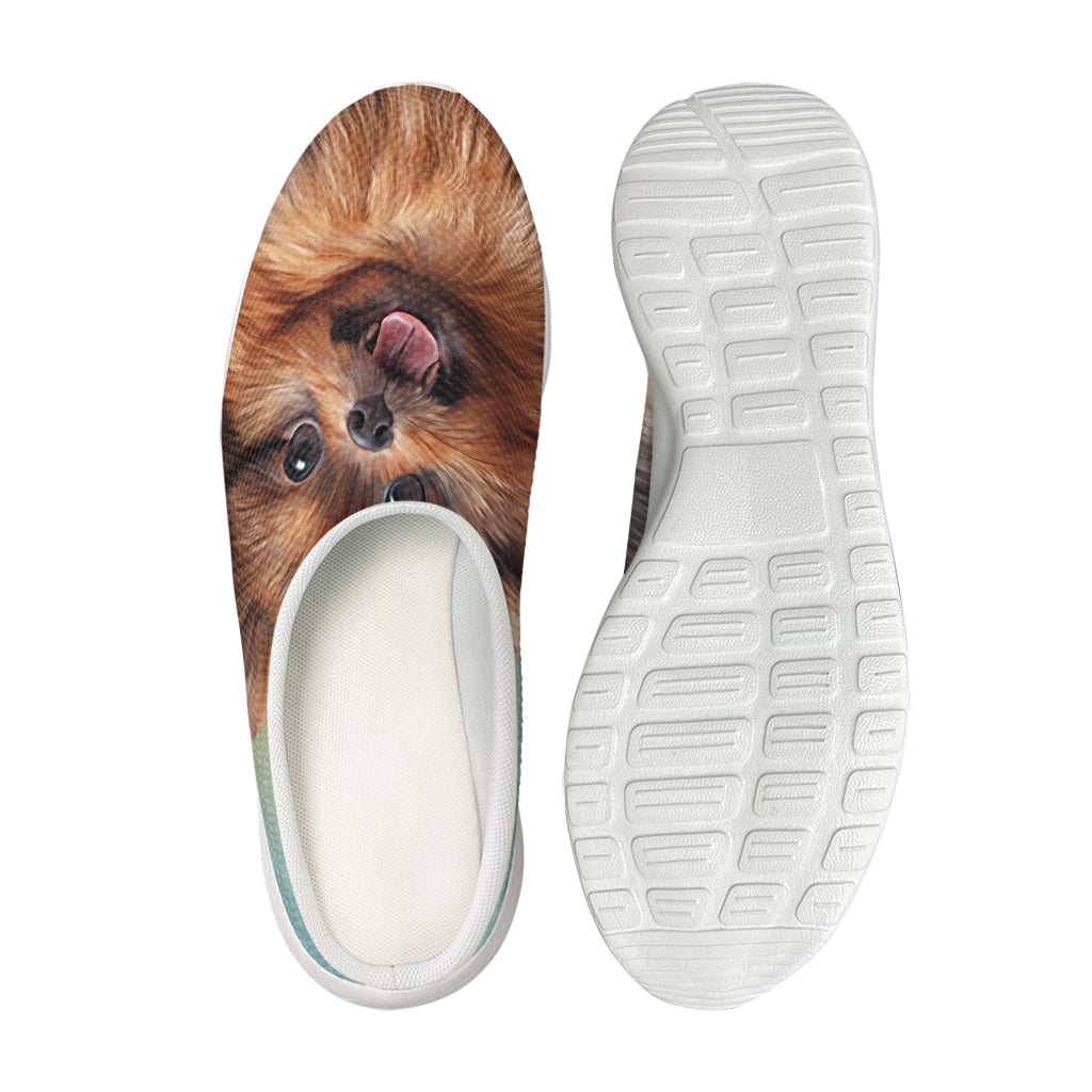 Vintage Pomeranian Portrait Mesh Casual Shoes