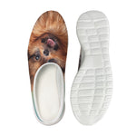 Vintage Pomeranian Portrait Mesh Casual Shoes