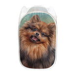 Vintage Pomeranian Portrait Mesh Laundry Hamper