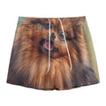 Vintage Pomeranian Portrait Mesh Shorts
