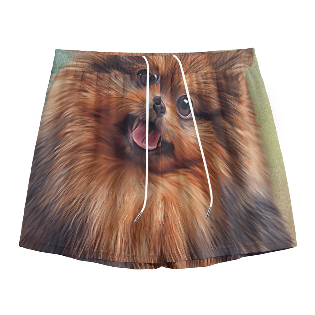 Vintage Pomeranian Portrait Mesh Shorts