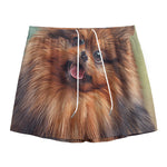 Vintage Pomeranian Portrait Mesh Shorts