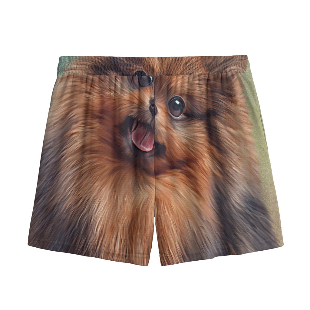 Vintage Pomeranian Portrait Mesh Shorts