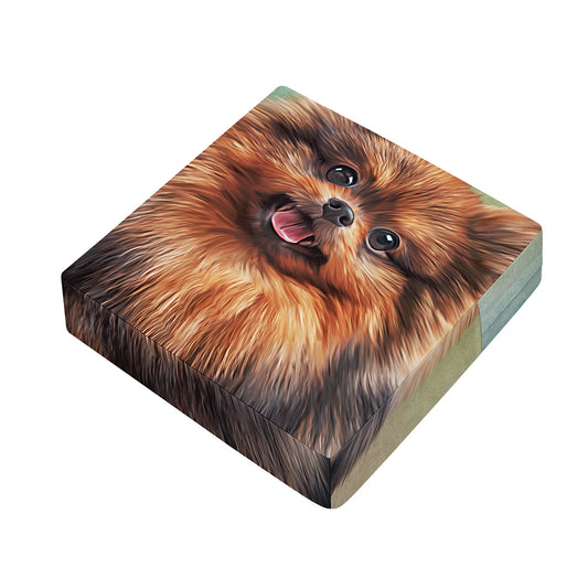 Vintage Pomeranian Portrait Outdoor Seat Cushion Cover