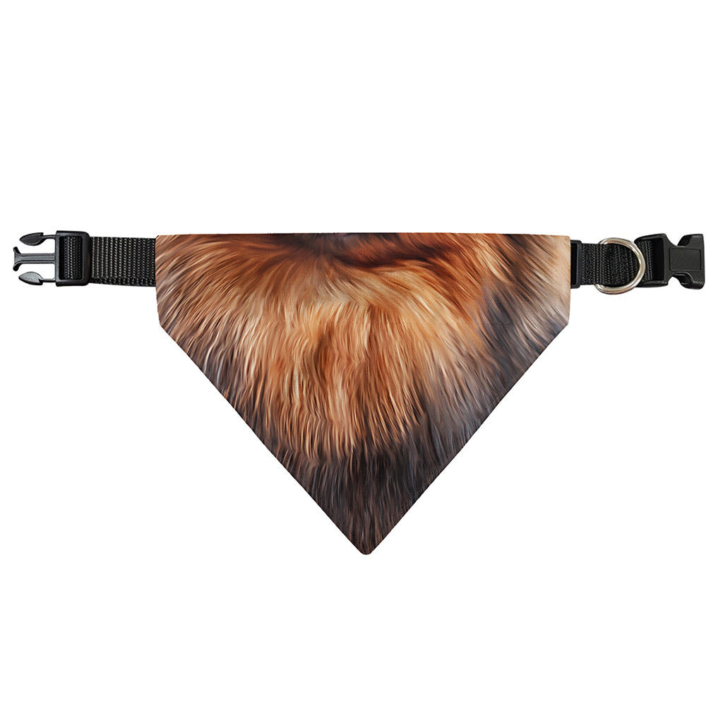 Vintage Pomeranian Portrait Over The Collar Dog Bandana
