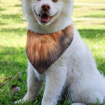Vintage Pomeranian Portrait Over The Collar Dog Bandana