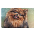 Vintage Pomeranian Portrait Polyester Doormat