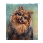 Vintage Pomeranian Portrait Polyester Shower Curtain