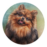 Vintage Pomeranian Portrait Round Blanket