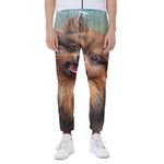 Vintage Pomeranian Portrait Scuba Joggers