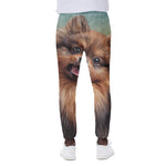Vintage Pomeranian Portrait Scuba Joggers