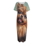 Vintage Pomeranian Portrait Short Sleeve Long Nightdress