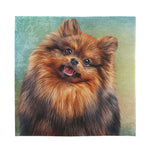 Vintage Pomeranian Portrait Silk Bandana