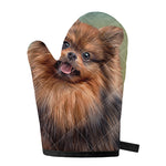 Vintage Pomeranian Portrait Single Oven Mitt
