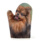 Vintage Pomeranian Portrait Single Oven Mitt