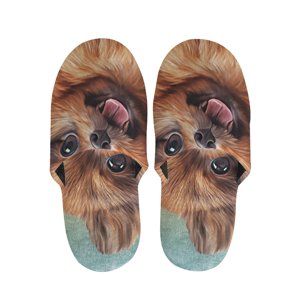 Vintage Pomeranian Portrait Slippers
