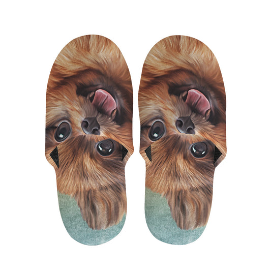 Vintage Pomeranian Portrait Slippers