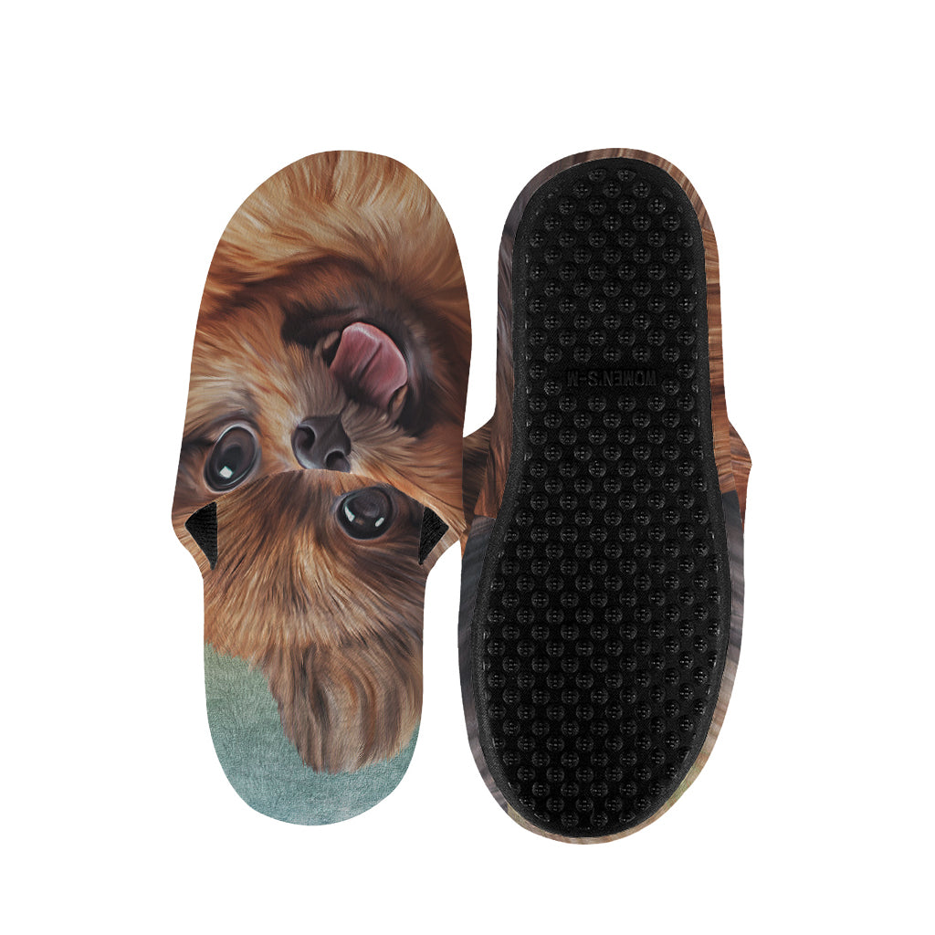 Vintage Pomeranian Portrait Slippers