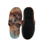 Vintage Pomeranian Portrait Slippers