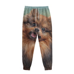 Vintage Pomeranian Portrait Sweatpants