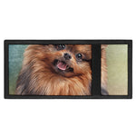 Vintage Pomeranian Portrait Trifold Wallet