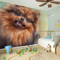 Vintage Pomeranian Portrait Wall Sticker