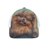 Vintage Pomeranian Portrait White Mesh Trucker Cap