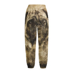Vintage Pug Portrait Print Fleece Lined Knit Pants