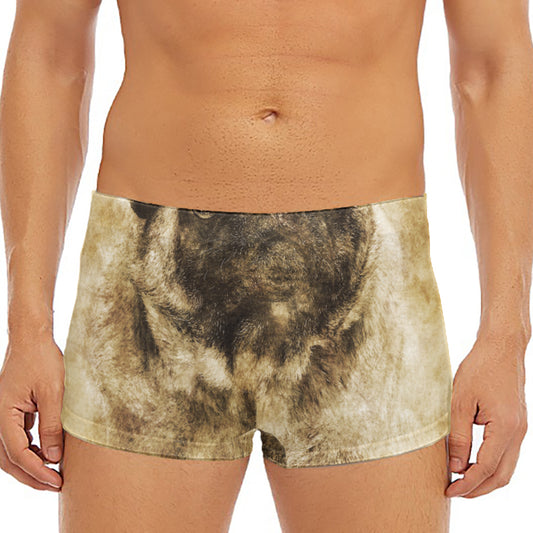 Vintage Pug Portrait Print Men's Short Boxer Briefs