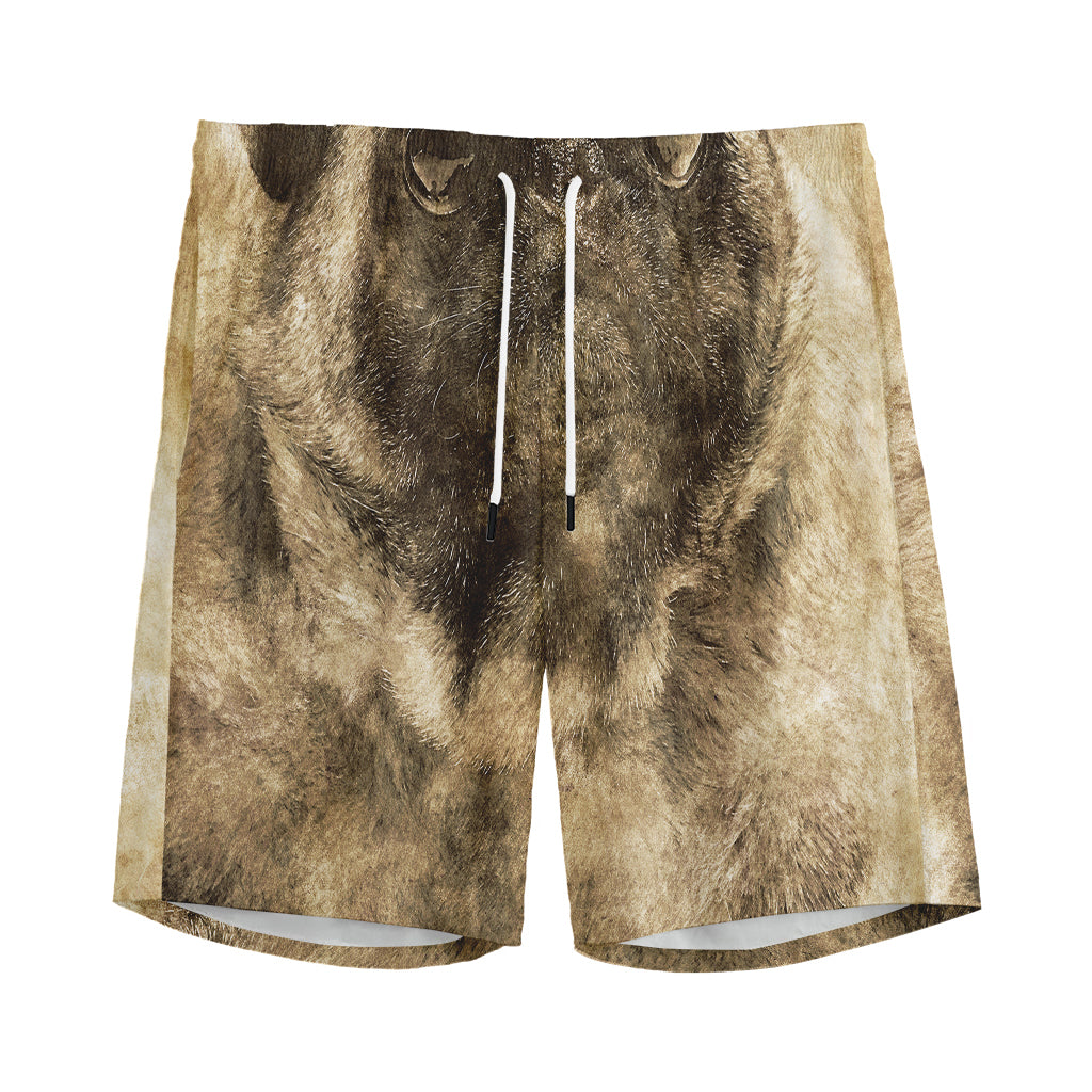 Vintage Pug Portrait Print Men's Sports Shorts