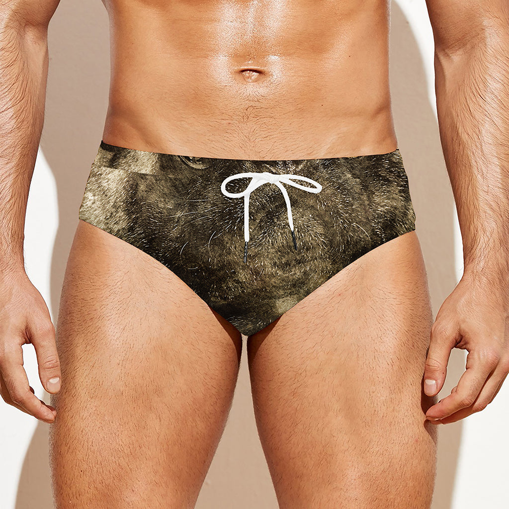 Vintage Pug Portrait Print Men's Swim Briefs