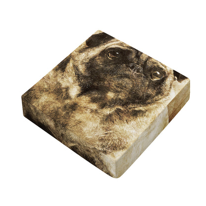 Vintage Pug Portrait Print Outdoor Seat Cushion Cover