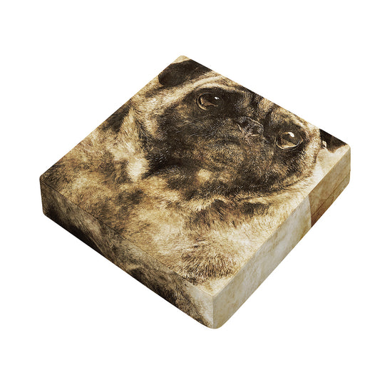 Vintage Pug Portrait Print Outdoor Seat Cushion Cover
