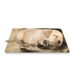 Vintage Pug Portrait Print Pet Cooling Mat Cover