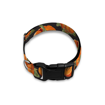Vintage Pumpkin Pattern Print Dog Collar