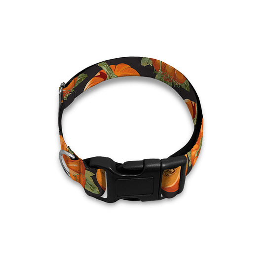 Vintage Pumpkin Pattern Print Dog Collar