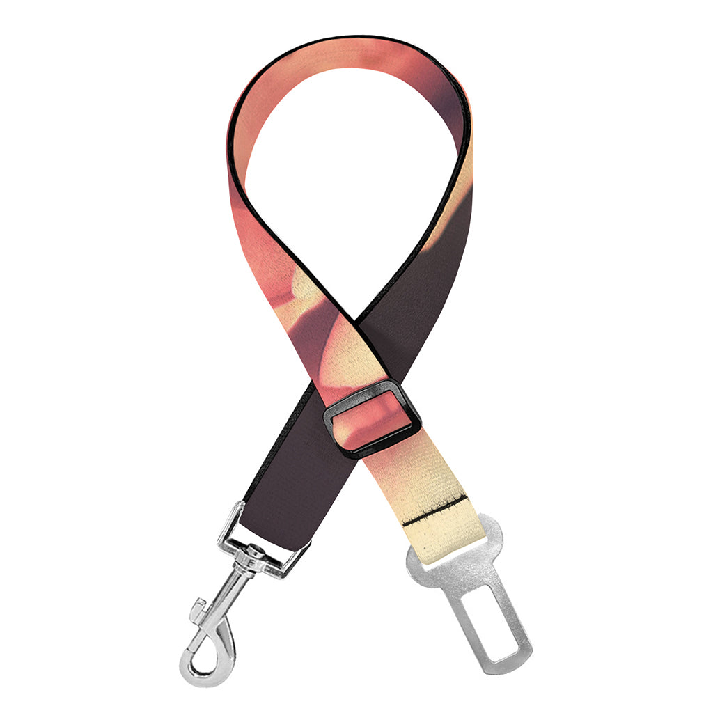 Vintage Rose Print Dog Seat Belt