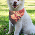 Vintage Rose Print Over The Collar Dog Bandana