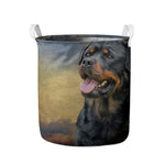 Vintage Rottweiler Portrait Print Collapsible Laundry Basket