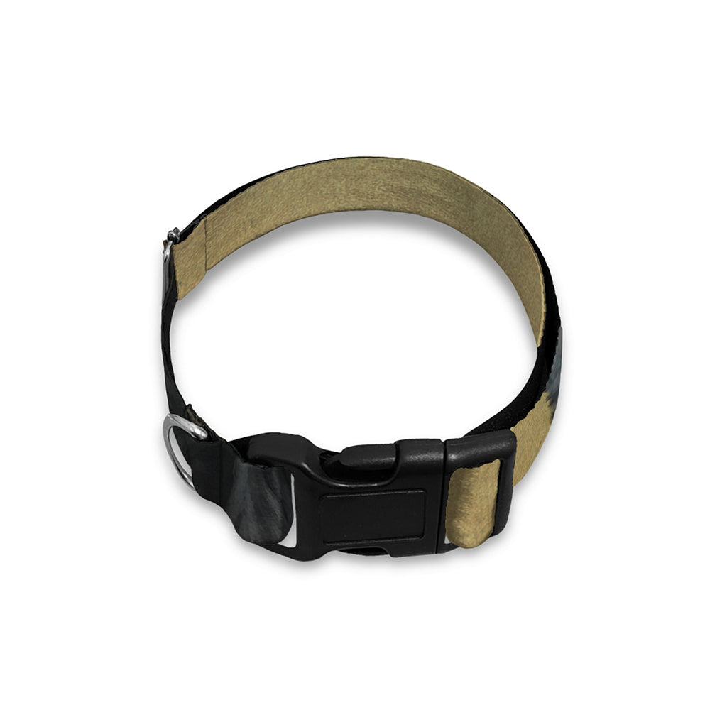 Vintage Rottweiler Portrait Print Dog Collar