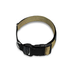 Vintage Rottweiler Portrait Print Dog Collar