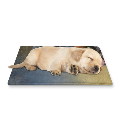 Vintage Rottweiler Portrait Print Pet Cooling Mat Cover