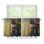 Vintage Rottweiler Portrait Print Tier Curtains