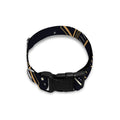 Vintage Sagittarius Zodiac Sign Print Dog Collar