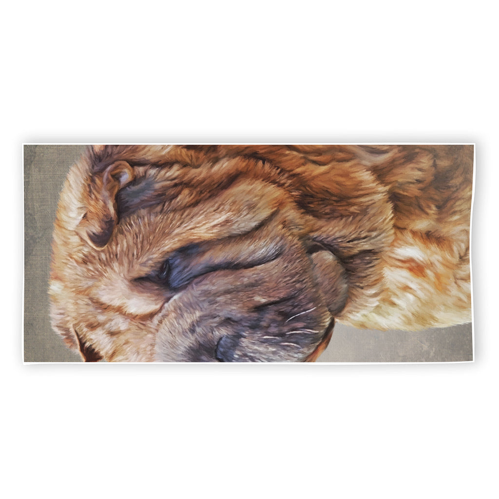 Vintage Shar Pei Print Beach Towel