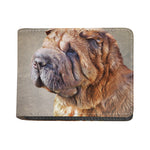 Vintage Shar Pei Print Bifold Wallet